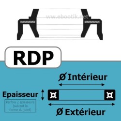 JOINT RACLEUR 20X30X7/9.5 RDP 680 FPM