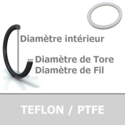 22.00x2.00 PTFE